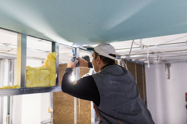 Best Blown-in Insulation in Anthony, TX