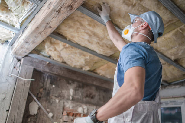 Best Cellulose Insulation in Anthony, TX
