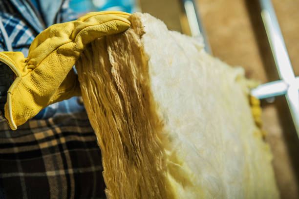 Best Spray Foam Insulation in Anthony, TX