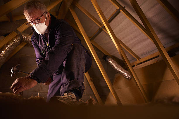 Professional Insulation Contractor in Anthony, TX